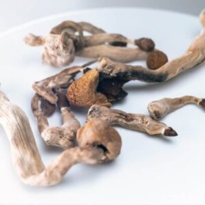 Buy Amazonian Magic Mushrooms -