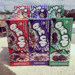 One Up Thin Mints Mario Chocolate Mushrooms Buy One Up Mario chocolate bars