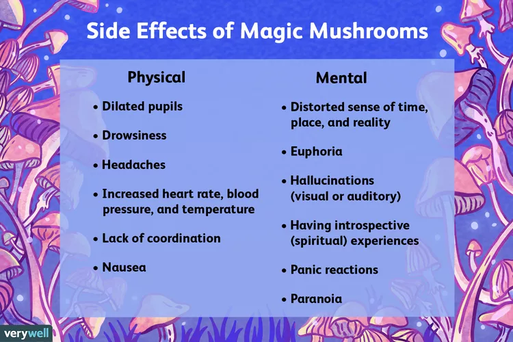 magic mushroom effects